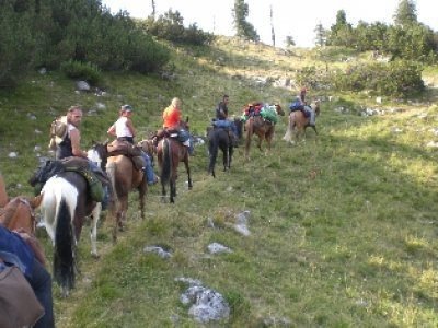 Escursioni_a_cavallo-1.jpg