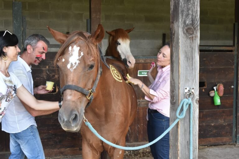 horse-paint.jpeg